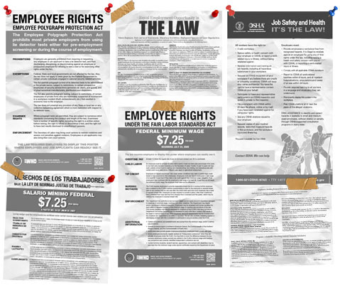 Free Federal All In One Labor Law Posters Available In Pdf Format